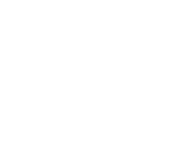 AVL-Techno.png